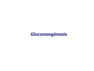 Gluconeogénesis
 
