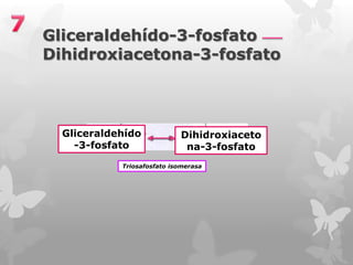 Gliceraldehído-3-fosfato
Dihidroxiacetona-3-fosfato

Gliceraldehído
-3-fosfato

Dihidroxiaceto
na-3-fosfato

Triosafosfato isomerasa

 