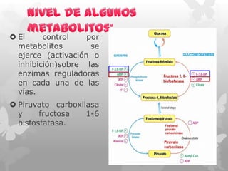  El
control
por
metabolitos
se
ejerce (activación o
inhibición)sobre las
enzimas reguladoras
en cada una de las
vías.
 Piruvato carboxilasa
y
fructosa
1-6
bisfosfatasa.

 