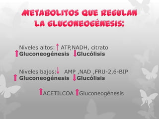 Niveles altos: ATP,NADH, citrato
Gluconeogénesis Glucólisis
Niveles bajos: AMP ,NAD ,FRU-2,6-BIP
Gluconeogénesis Glucólisis
ACETILCOA

Gluconeogénesis

 