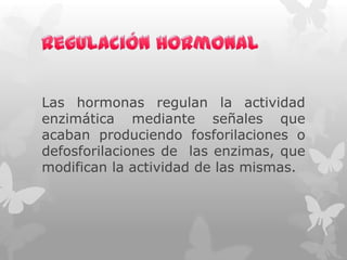 Las hormonas regulan la actividad
enzimática mediante señales que
acaban produciendo fosforilaciones o
defosforilaciones de las enzimas, que
modifican la actividad de las mismas.

 