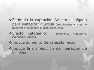 Estimula la captación AA por el hígado
para sintetizar glucosa (sólo leucina y lisina no
generan precursores gluconeogénicos).

Efecto

cetogénico

(treonina,

metionina,

isoleucina, valina).

Induce aumento de catecolaminas.
Induce la disminución de liberación de
insulina.

 