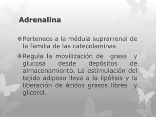 Adrenalina
Pertenece a la médula suprarrenal de
la familia de las catecolaminas
Regula la movilización de grasa y
glucosa
desde
depósitos
de
almacenamiento. La estimulación del
tejido adiposo lleva a la lipólisis y la
liberación de ácidos grasos libres y
glicerol.

 