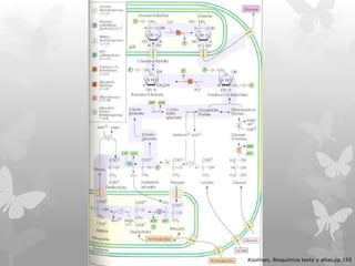 Koolman, Bioquímica texto y atlas.pp.155

 