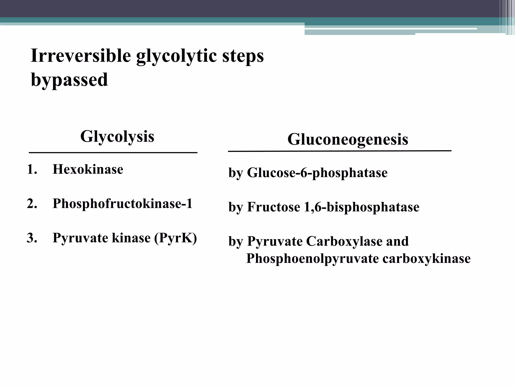 Gluconeogenesis and glycogen metabolism | PPTX
