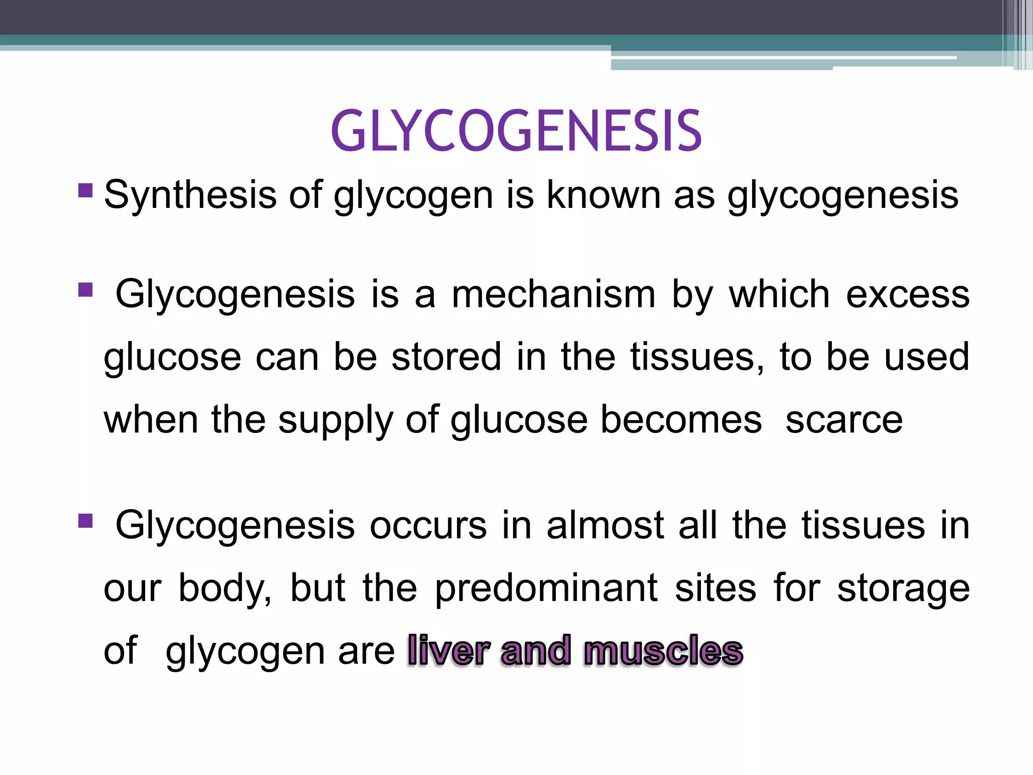 Gluconeogenesis and glycogen metabolism | PPTX