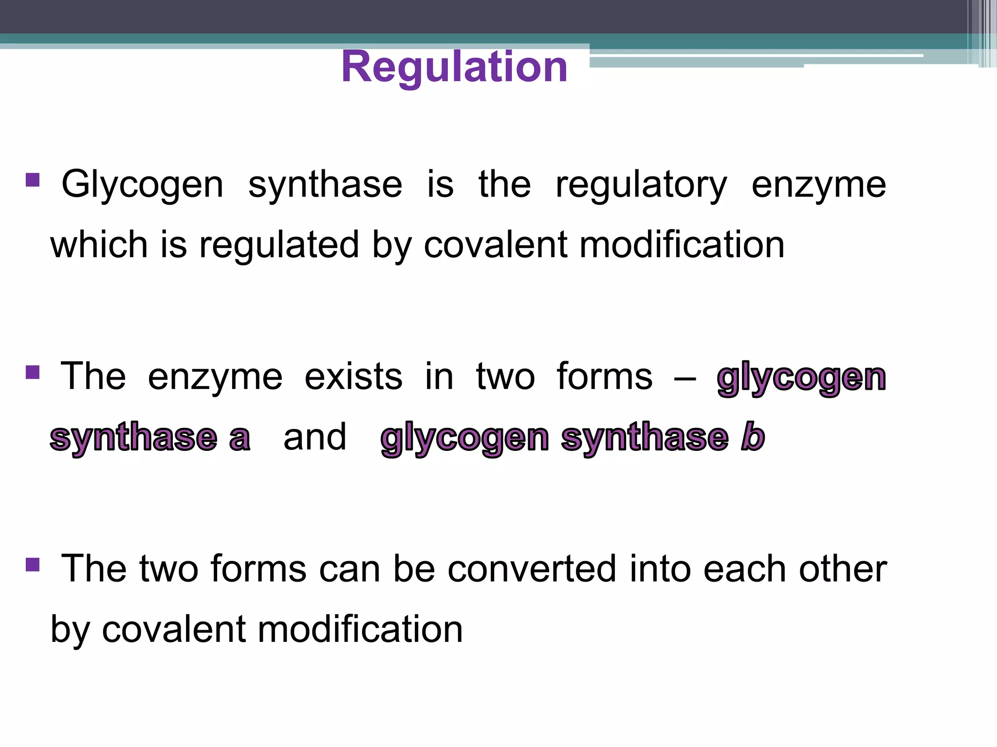 Gluconeogenesis and glycogen metabolism | PPTX
