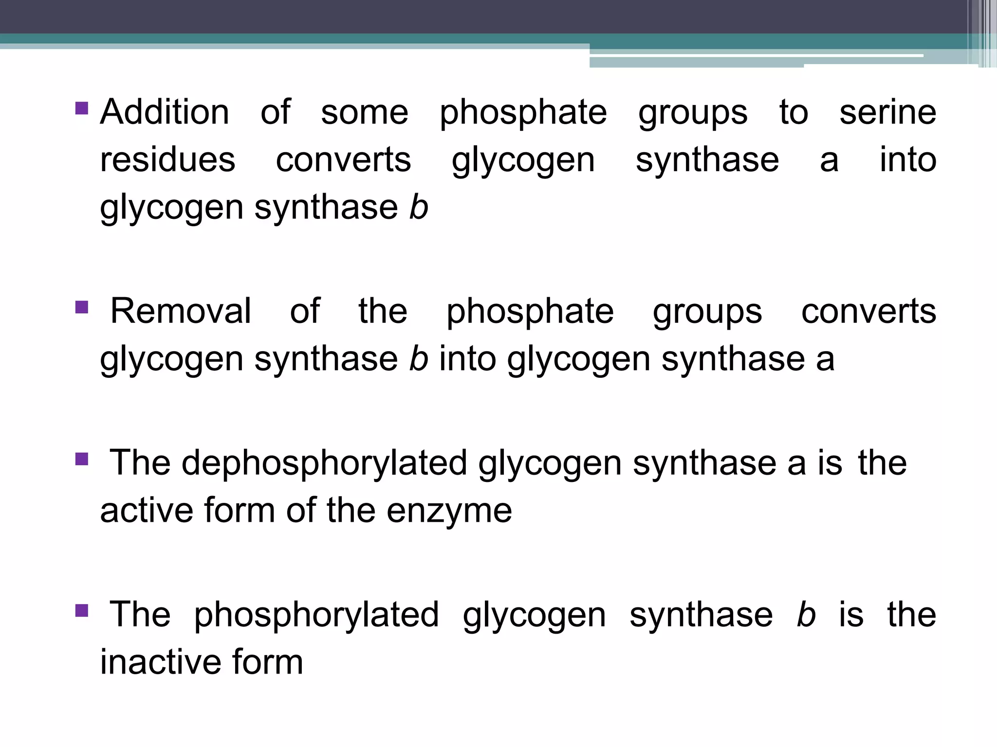Gluconeogenesis and glycogen metabolism | PPTX