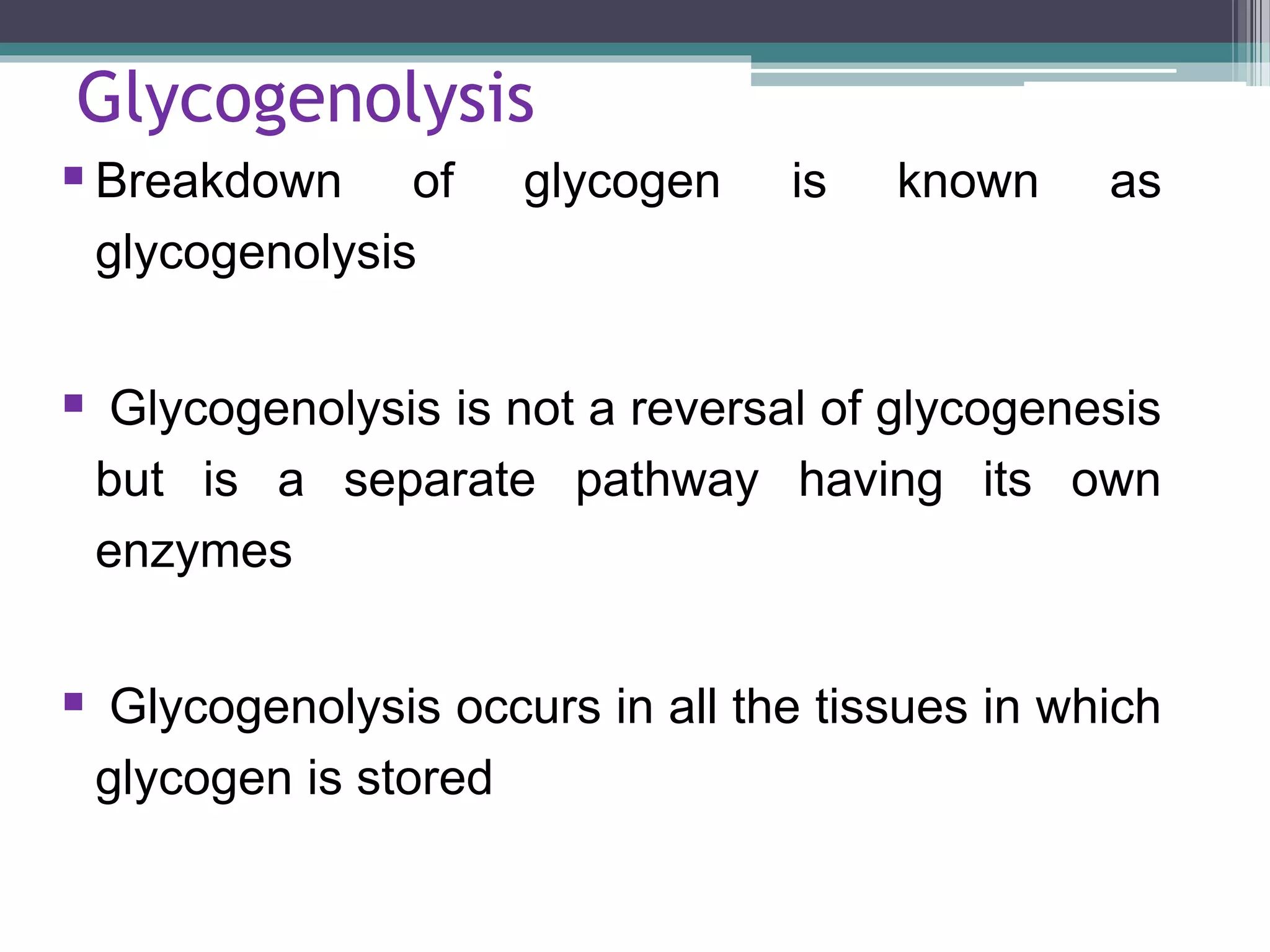 Gluconeogenesis and glycogen metabolism | PPTX
