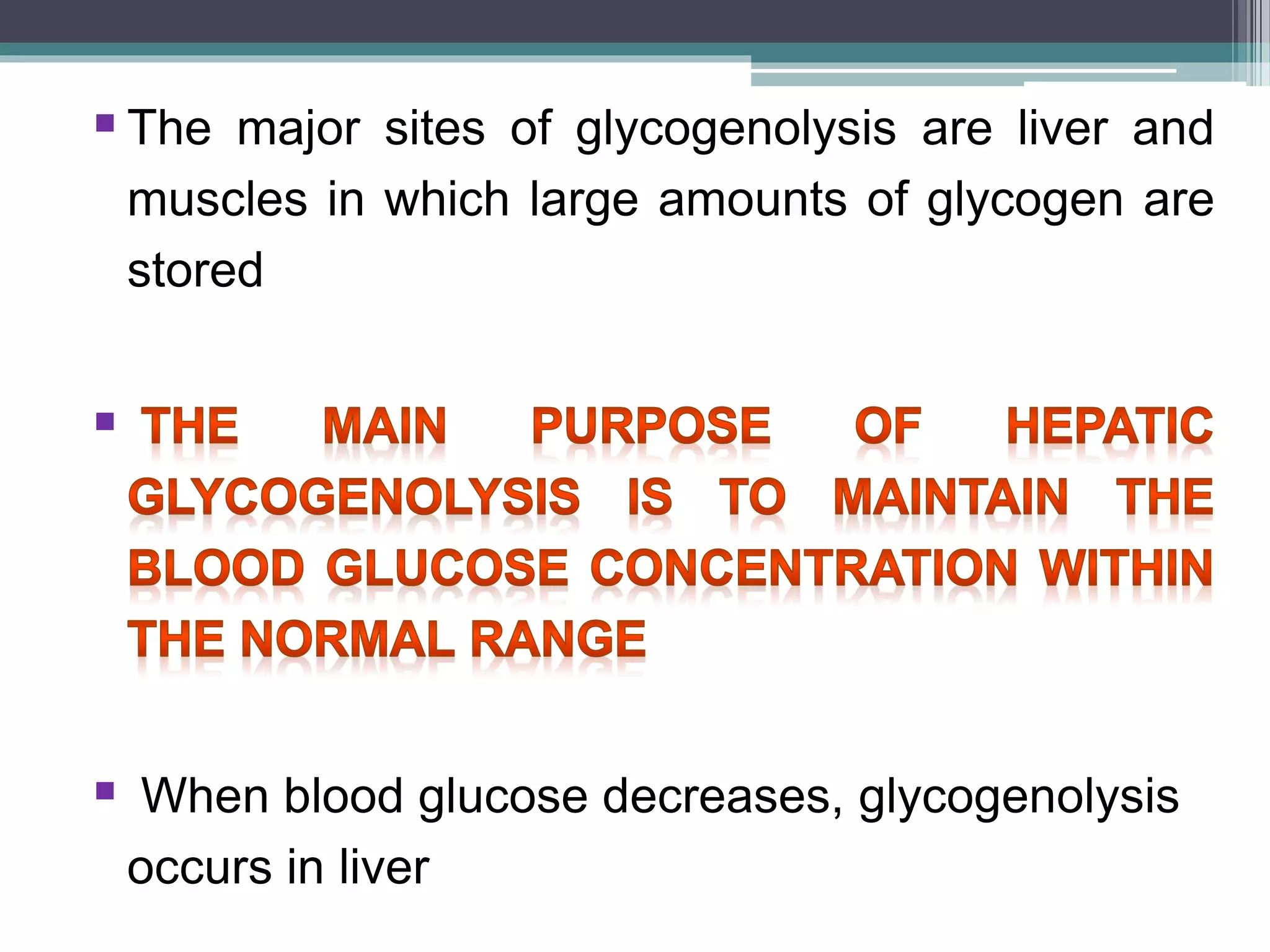 Gluconeogenesis and glycogen metabolism | PPTX