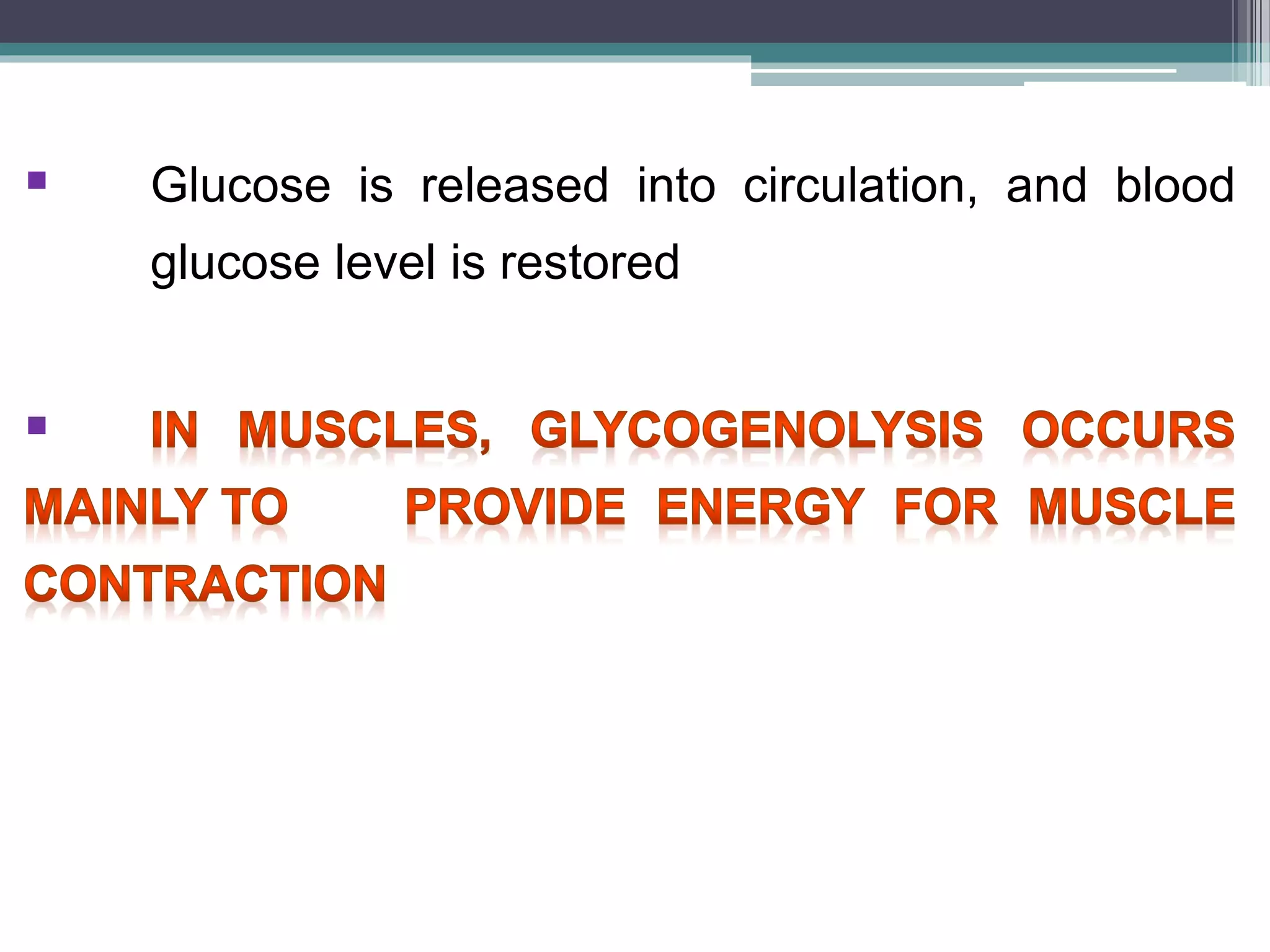 Gluconeogenesis and glycogen metabolism | PPTX