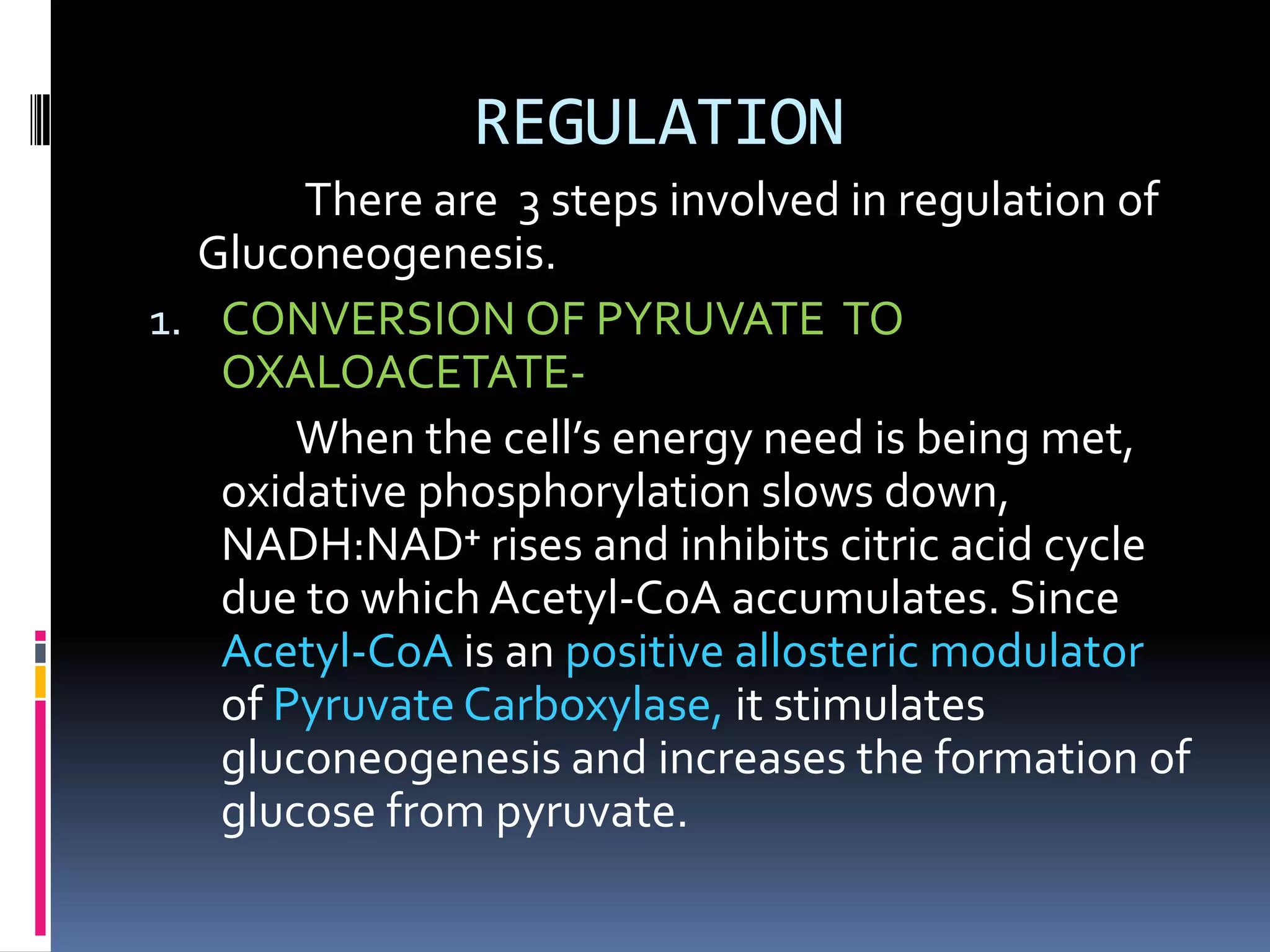 REGULATION
There are 3 steps involved in regulation of
Gluconeogenesis.
1. CONVERSION OF PYRUVATE TO
OXALOACETATE-
When the cell’s energy need is being met,
oxidative phosphorylation slows down,
NADH:NAD⁺ rises and inhibits citric acid cycle
due to which Acetyl-CoA accumulates. Since
Acetyl-CoA is an positive allosteric modulator
of Pyruvate Carboxylase, it stimulates
gluconeogenesis and increases the formation of
glucose from pyruvate.
 