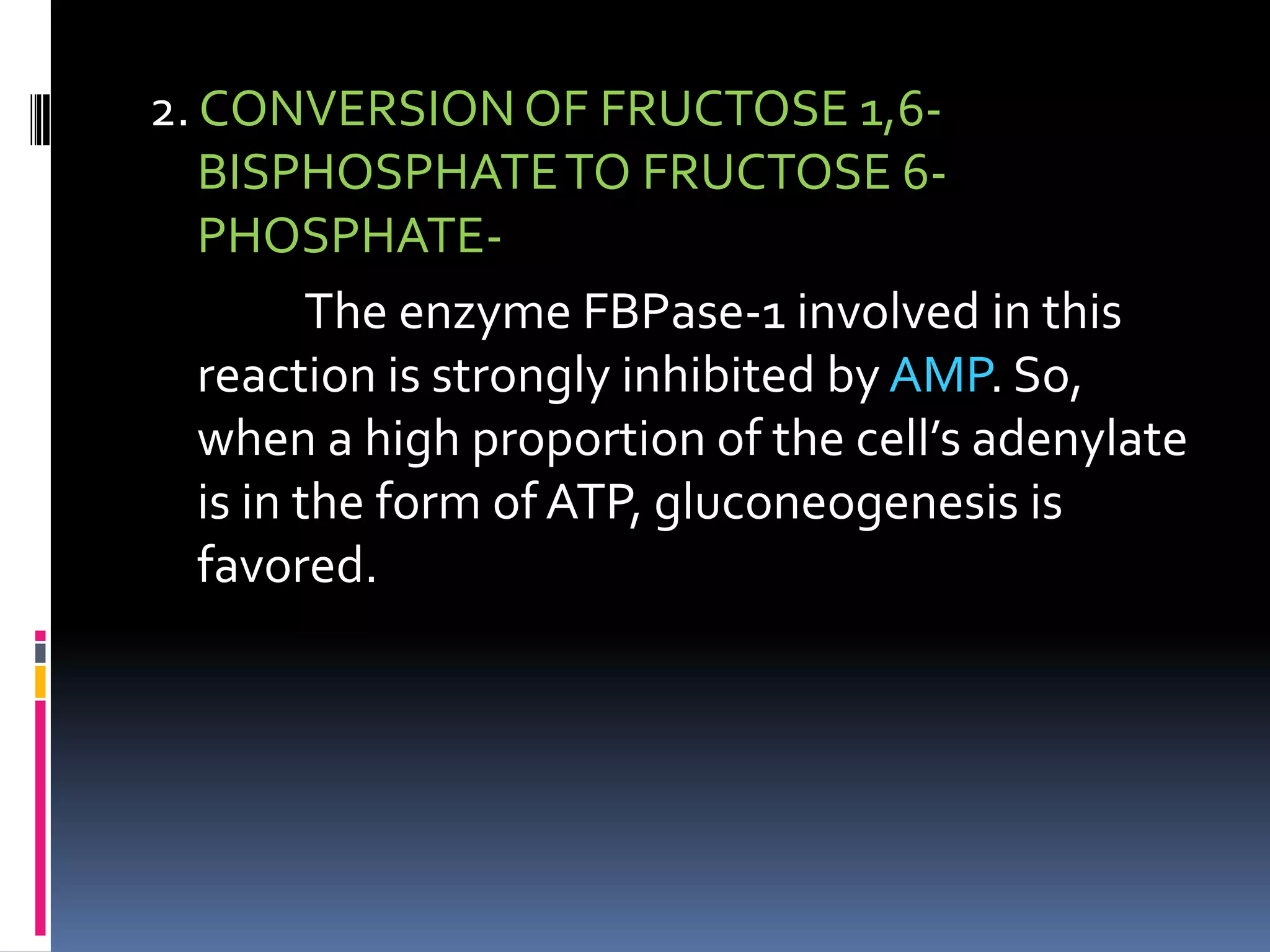 2. CONVERSION OF FRUCTOSE 1,6-
BISPHOSPHATETO FRUCTOSE 6-
PHOSPHATE-
The enzyme FBPase-1 involved in this
reaction is strongly inhibited by AMP. So,
when a high proportion of the cell’s adenylate
is in the form of ATP, gluconeogenesis is
favored.
 