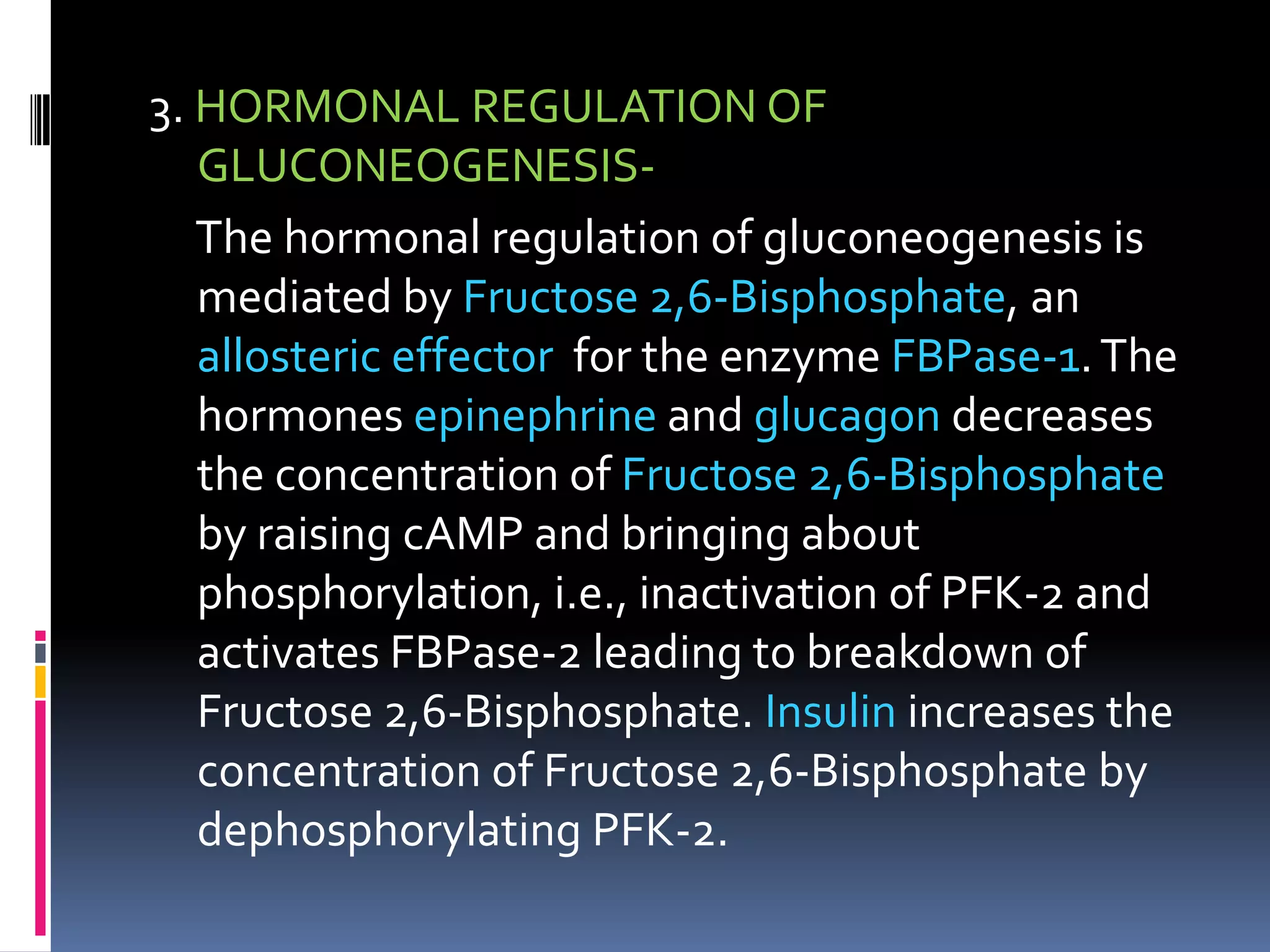 3. HORMONAL REGULATION OF
GLUCONEOGENESIS-
The hormonal regulation of gluconeogenesis is
mediated by Fructose 2,6-Bisphosphate, an
allosteric effector for the enzyme FBPase-1.The
hormones epinephrine and glucagon decreases
the concentration of Fructose 2,6-Bisphosphate
by raising cAMP and bringing about
phosphorylation, i.e., inactivation of PFK-2 and
activates FBPase-2 leading to breakdown of
Fructose 2,6-Bisphosphate. Insulin increases the
concentration of Fructose 2,6-Bisphosphate by
dephosphorylating PFK-2.
 