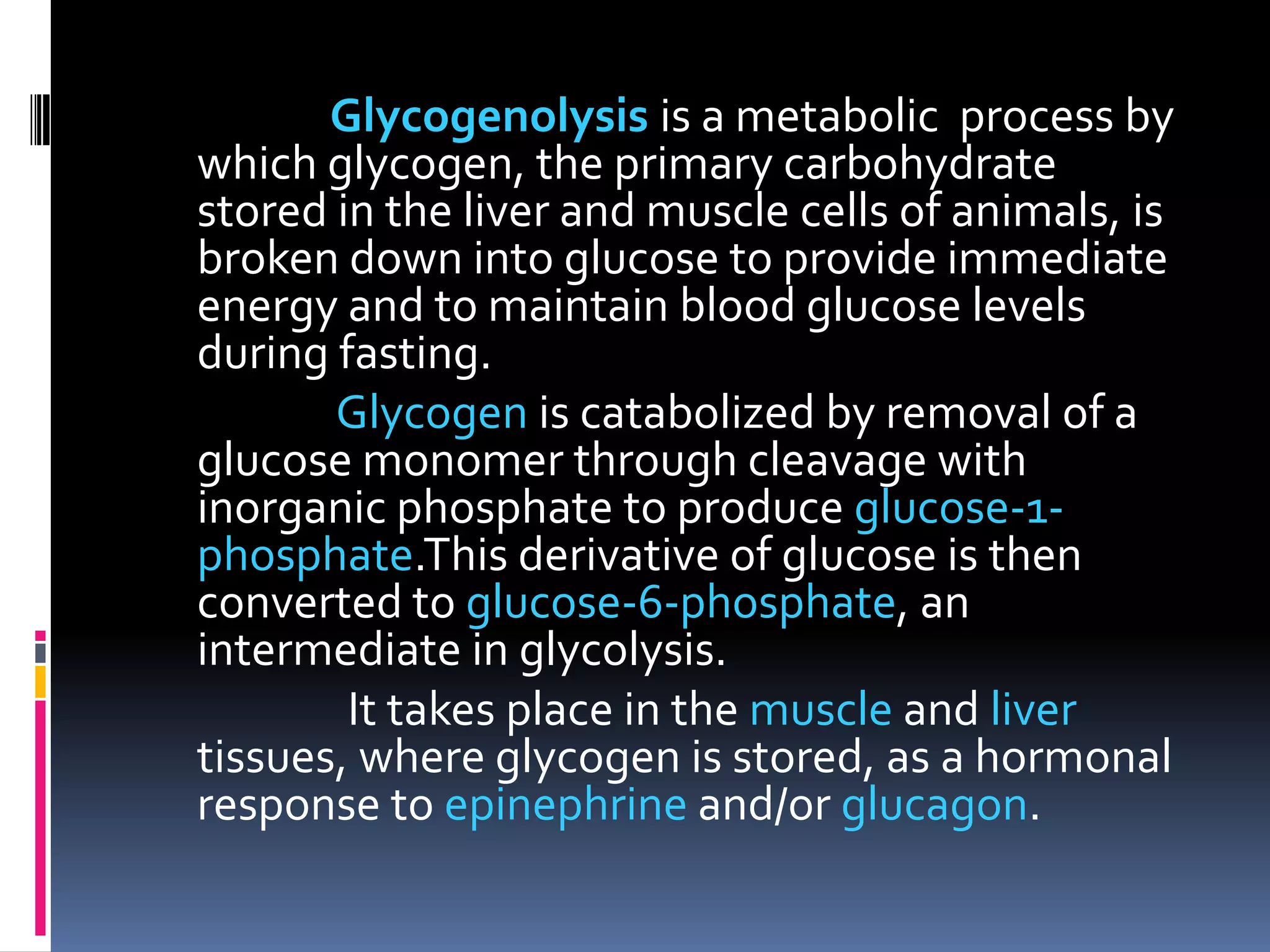 Glycogenolysis is a metabolic process by
which glycogen, the primary carbohydrate
stored in the liver and muscle cells of animals, is
broken down into glucose to provide immediate
energy and to maintain blood glucose levels
during fasting.
Glycogen is catabolized by removal of a
glucose monomer through cleavage with
inorganic phosphate to produce glucose-1-
phosphate.This derivative of glucose is then
converted to glucose-6-phosphate, an
intermediate in glycolysis.
It takes place in the muscle and liver
tissues, where glycogen is stored, as a hormonal
response to epinephrine and/or glucagon.
 