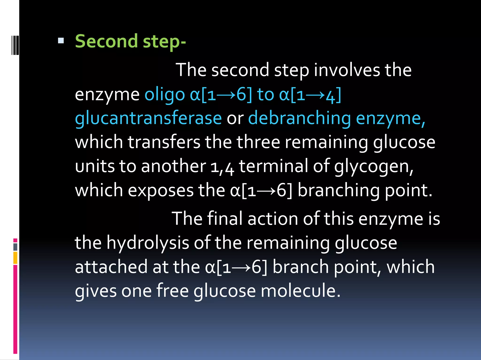  Second step-
The second step involves the
enzyme oligo α[1→6] to α[1→4]
glucantransferase or debranching enzyme,
which transfers the three remaining glucose
units to another 1,4 terminal of glycogen,
which exposes the α[1→6] branching point.
The final action of this enzyme is
the hydrolysis of the remaining glucose
attached at the α[1→6] branch point, which
gives one free glucose molecule.
 