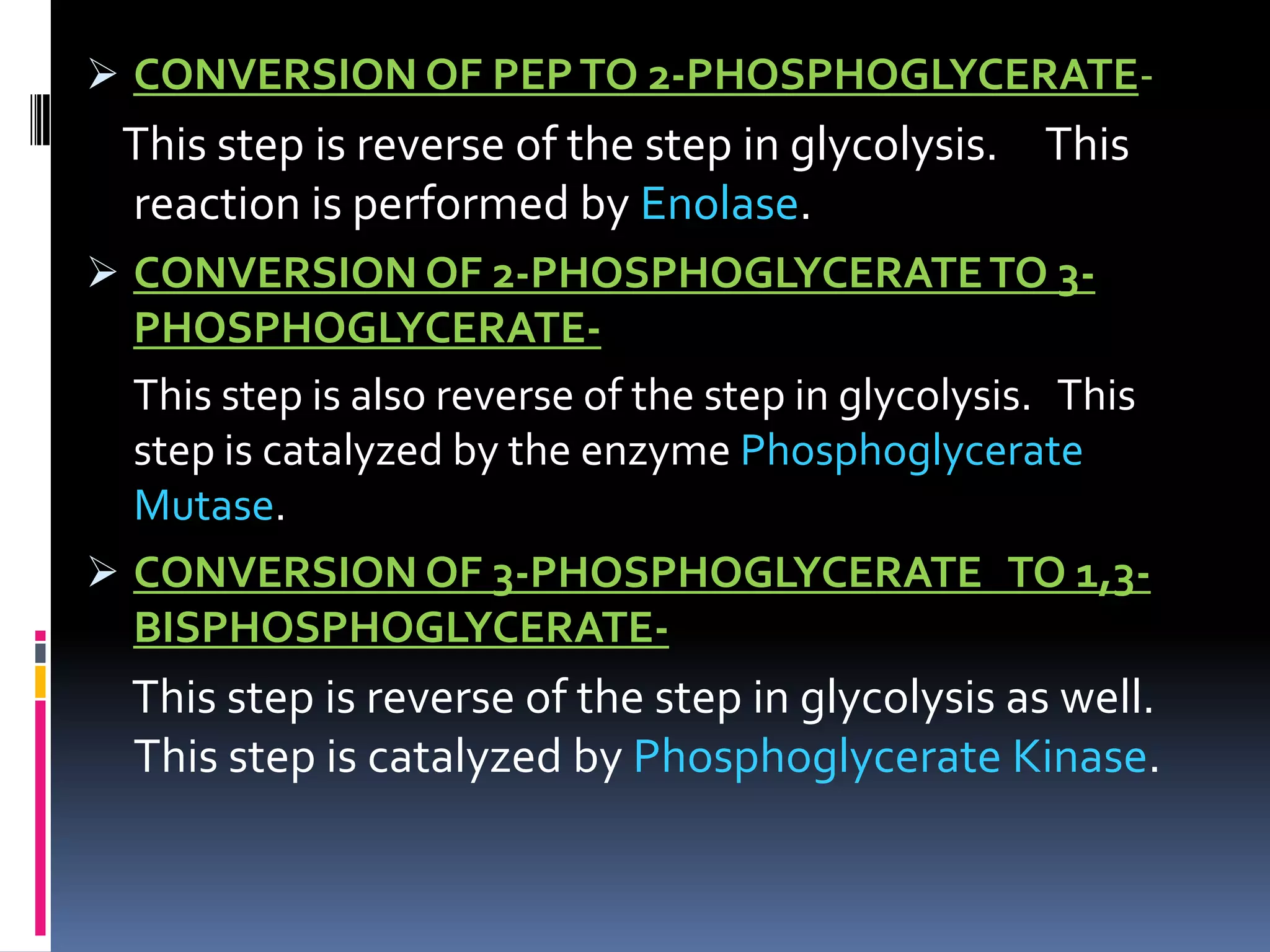  CONVERSION OF PEPTO 2-PHOSPHOGLYCERATE-
This step is reverse of the step in glycolysis. This
reaction is performed by Enolase.
 CONVERSION OF 2-PHOSPHOGLYCERATETO 3-
PHOSPHOGLYCERATE-
This step is also reverse of the step in glycolysis. This
step is catalyzed by the enzyme Phosphoglycerate
Mutase.
 CONVERSION OF 3-PHOSPHOGLYCERATE TO 1,3-
BISPHOSPHOGLYCERATE-
This step is reverse of the step in glycolysis as well.
This step is catalyzed by Phosphoglycerate Kinase.
 