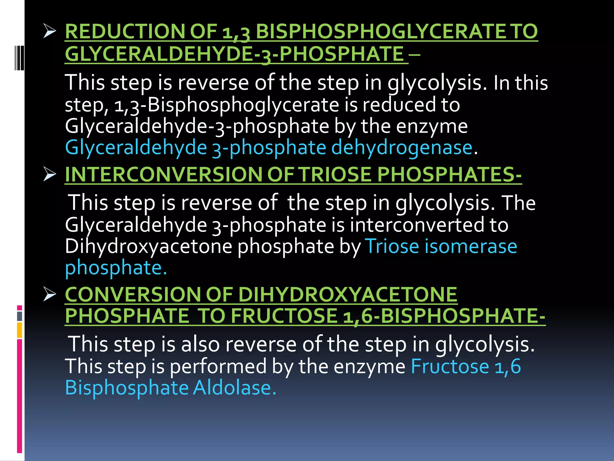  REDUCTION OF 1,3 BISPHOSPHOGLYCERATETO
GLYCERALDEHYDE-3-PHOSPHATE –
This step is reverse of the step in glycolysis. In this
step, 1,3-Bisphosphoglycerate is reduced to
Glyceraldehyde-3-phosphate by the enzyme
Glyceraldehyde 3-phosphate dehydrogenase.
 INTERCONVERSION OFTRIOSE PHOSPHATES-
This step is reverse of the step in glycolysis. The
Glyceraldehyde 3-phosphate is interconverted to
Dihydroxyacetone phosphate byTriose isomerase
phosphate.
 CONVERSION OF DIHYDROXYACETONE
PHOSPHATE TO FRUCTOSE 1,6-BISPHOSPHATE-
This step is also reverse of the step in glycolysis.
This step is performed by the enzyme Fructose 1,6
BisphosphateAldolase.
 