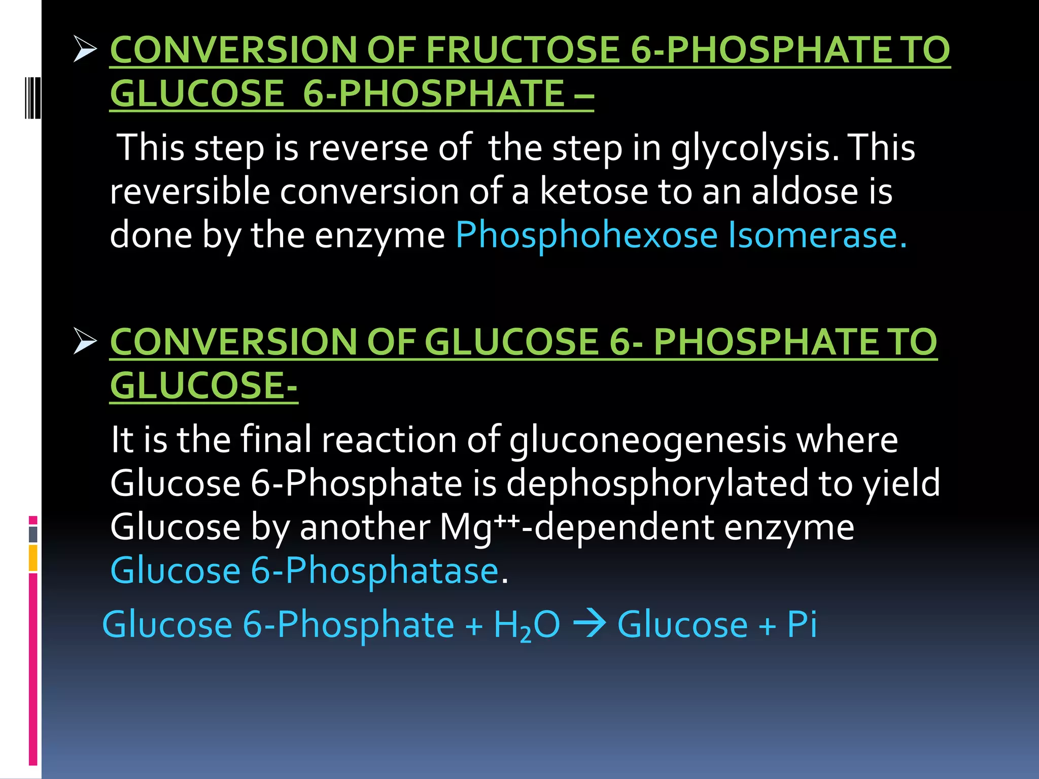  CONVERSION OF FRUCTOSE 6-PHOSPHATE TO
GLUCOSE 6-PHOSPHATE –
This step is reverse of the step in glycolysis.This
reversible conversion of a ketose to an aldose is
done by the enzyme Phosphohexose Isomerase.
 CONVERSION OF GLUCOSE 6- PHOSPHATE TO
GLUCOSE-
It is the final reaction of gluconeogenesis where
Glucose 6-Phosphate is dephosphorylated to yield
Glucose by another Mg⁺⁺-dependent enzyme
Glucose 6-Phosphatase.
Glucose 6-Phosphate + H₂O  Glucose + Pi
 