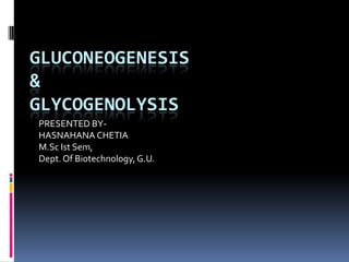 GLUCONEOGENESIS
&
GLYCOGENOLYSIS
PRESENTED BY-
HASNAHANA CHETIA
M.Sc Ist Sem,
Dept.Of Biotechnology,G.U.
 