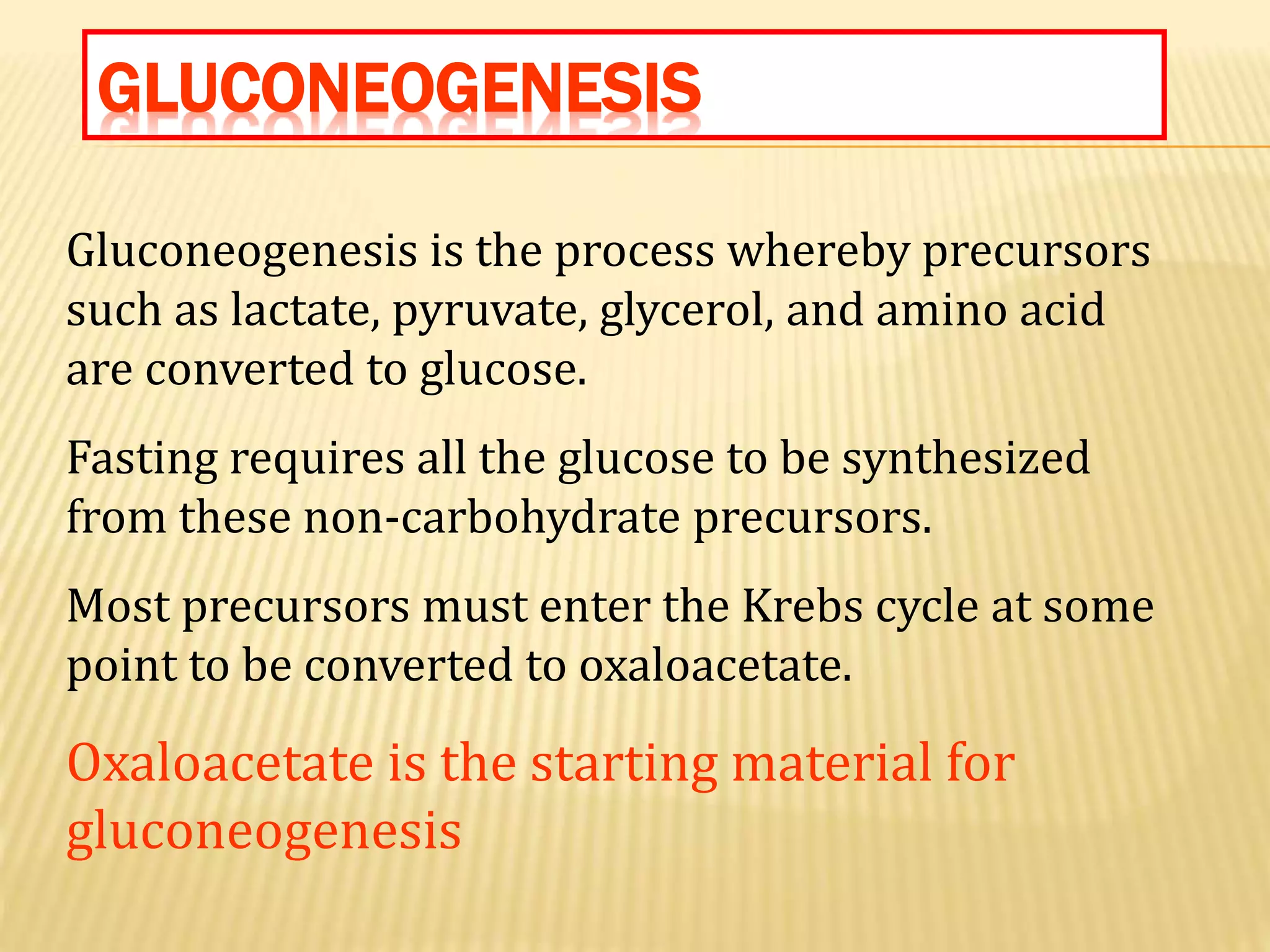 Gluconeogenesis and regulation of carbohydrate metabolism. | PPTX