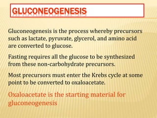 GLUCONEOGENESIS
Gluconeogenesis is the process whereby precursors
such as lactate, pyruvate, glycerol, and amino acid
are converted to glucose.
Fasting requires all the glucose to be synthesized
from these non-carbohydrate precursors.
Most precursors must enter the Krebs cycle at some
point to be converted to oxaloacetate.
Oxaloacetate is the starting material for
gluconeogenesis
 