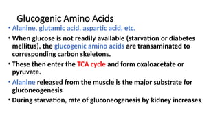 Comprehensive Overview of Gluconeogenesis in Carbohydrate Metabolism | PPTX