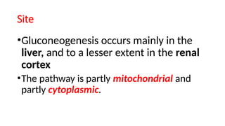 Comprehensive Overview of Gluconeogenesis in Carbohydrate Metabolism | PPTX