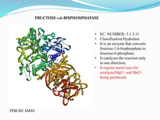 FRUCTOSE-1,6-BISPHOSPHATASE
• EC. NUMBER: 3.1.3.11
• Classification:Hydrolase
• It is an enzyme that converts
fructose-1,6-bisphosphate to
fructose-6-phosphate.
• It catalyses the reaction only
in one direction.
• It require metal ions for
catalysis(Mg2+ and Mn2+
being preferred).
PDB ID: 4MJO
 