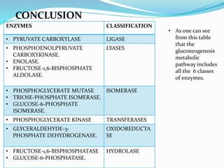 CONCLUSION
ENZYMES CLASSIFICATION
• PYRUVATE CARBOXYLASE LIGASE
• PHOSPHOENOLPYRUVATE
CARBOXYKINASE.
• ENOLASE.
• FRUCTOSE-1,6-BISPHOSPHATE
ALDOLASE.
LYASES
• PHOSPHOGLYCERATE MUTASE
• TRIOSE-PHOSPHATE ISOMERASE.
• GLUCOSE-6-PHOSPHATE
ISOMERASE.
ISOMERASE
• PHOSPHOGLYCERATE KINASE TRANSFERASES
• GLYCERALDEHYDE-3-
PHOSPHATE DEHYDROGENASE.
OXIDOREDUCTA
SE
• FRUCTOSE-1,6-BISPHOSPHATASE
• GLUCOSE-6-PHOSPHATASE.
HYDROLASE
• As one can see
from this table
that the
gluconeogenesis
metabolic
pathway includes
all the 6 classes
of enzymes.
 