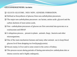 GLUCONEOGENESIS: An intro
 GLUCO: GLUCOSE ; NEO: NEW ; GENESIS: FORMATION.
 Defined as biosynthesis of glucose from non-carbohydrate precursors.
 The major non-carbohydrate precursors are lactate, amino acids ,glycerol and the
carbon skeleton of most amino acids.
 Non –carbohydrate precursors of glucose are first converted into pyruvate or as
oxaloacetate and DHAP.
 A ubiquitous process , present in plants ,animals ,fungi , bacteria and other
microorganisms.
 One of the main mechanism humans and many other animals use to keep blood
glucose level from dropping too low(hypoglycemia).
 Occurs mainy in liver and to some extent in the cortex of kidney.
 This process occurs during periods of fasting,starvation,low carbohydrate diet or
intense exercise and is highly endergonic.
 