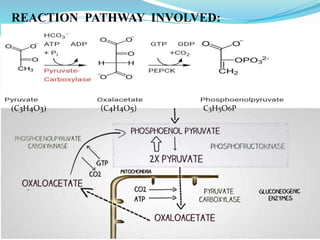 REACTION PATHWAY INVOLVED:
(C3H4O3) (C4H4O5) C3H5O6P
.
 