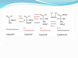 C3H5O6P C3H7O7P C3H7O7P C3H8O10P2
.
 