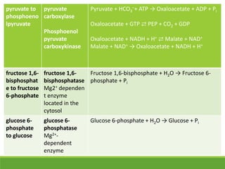 pyruvate to
phosphoeno
lpyruvate
pyruvate
carboxylase
Phosphoenol
pyruvate
carboxykinase
Pyruvate + HCO3
–+ ATP → Oxaloacetate + ADP + Pi
Oxaloacetate + GTP ⇄ PEP + CO2 + GDP
Oxaloacetate + NADH + H+ ⇄ Malate + NAD+
Malate + NAD+ → Oxaloacetate + NADH + H+
fructose 1,6-
bisphosphat
e to fructose
6-phosphate
fructose 1,6-
bisphosphatase
Mg2+ dependen
t enzyme
located in the
cytosol
Fructose 1,6-bisphosphate + H2O → Fructose 6-
phosphate + Pi
glucose 6-
phosphate
to glucose
glucose 6-
phosphatase
Mg2+-
dependent
enzyme
Glucose 6-phosphate + H2O → Glucose + Pi
 