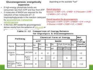 Gluconeogenesis: energetically
expensive
• 6 high-energy phosphate bonds are
consumed: two from GTP and four from ATP
• 2 molecules of NADH are required for the
reduction of two molecules of 1,3-
bisphosphoglycerate in the reaction catalyzed
by glyceraldehyde 3-phosphate
dehydrogenase
• In the liver, ATP needed for gluconeogenesis
derives mostly from the oxidation of fatty acids or
of the carbon skeletons of the amino acids,
depending on the available “fuel”
Overall glycolysis
Glucose + 2 ADP + 2 Pi + 2 NAD+ → 2 Pyruvate + 2 ATP
+ 2 NADH + 2 H+ + 2 H2O
Overall equation for gluconeogenesis
2 Pyruvate + 4 ATP + 2 GTP + 2 NADH+ + 2 H+ + 4 H2O
→ Glucose + 4 ADP + 2 GDP + 6 Pi + 2 NAD+
 