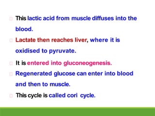 Thislactic acid from muscle diffuses into the
blood.
Lactate then reaches liver, where it is
oxidised to pyruvate.
It is entered into gluconeogenesis.
Regenerated glucose can enter into blood
and then to muscle.
Thiscycle is called cori cycle.
 