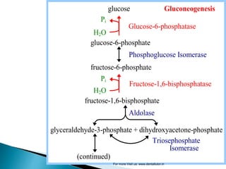 Glucose-6-phosphatase
Fructose-1,6-bisphosphatase
glucose Gluconeogenesis
Pi
H2O
glucose-6-phosphate
Phosphoglucose Isomerase
fructose-6-phosphate
Pi
H2O
fructose-1,6-bisphosphate
Aldolase
glyceraldehyde-3-phosphate + dihydroxyacetone-phosphate
Triosephosphate
Isomerase
(continued)
For more Visit us: www.dentaltutor.in
 