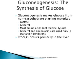 Gluconeogenesis | PPT