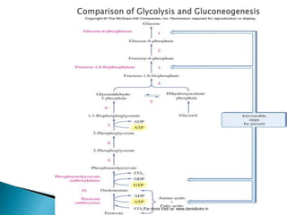 For more Visit us: www.dentaltutor.in
 