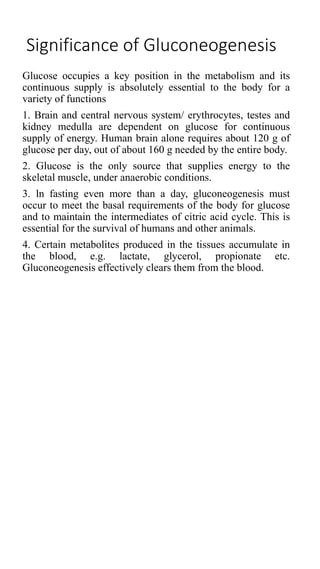 Significance of Gluconeogenesis
Glucose occupies a key position in the metabolism and its
continuous supply is absolutely essential to the body for a
variety of functions
1. Brain and central nervous system/ erythrocytes, testes and
kidney medulla are dependent on glucose for continuous
supply of energy. Human brain alone requires about 120 g of
glucose per day, out of about 160 g needed by the entire body.
2. Glucose is the only source that supplies energy to the
skeletal muscle, under anaerobic conditions.
3. ln fasting even more than a day, gluconeogenesis must
occur to meet the basal requirements of the body for glucose
and to maintain the intermediates of citric acid cycle. This is
essential for the survival of humans and other animals.
4. Certain metabolites produced in the tissues accumulate in
the blood, e.g. lactate, glycerol, propionate etc.
Gluconeogenesis effectively clears them from the blood.