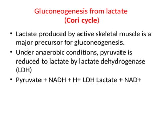 Gluconeogenesis from lactate
(Cori cycle)
• Lactate produced by active skeletal muscle is a
major precursor for gluconeogenesis.
• Under anaerobic conditions, pyruvate is
reduced to lactate by lactate dehydrogenase
(LDH)
• Pyruvate + NADH + H+ LDH Lactate + NAD+
 