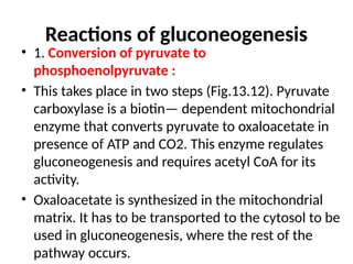 Reactions of gluconeogenesis
• 1. Conversion of pyruvate to
phosphoenolpyruvate :
• This takes place in two steps (Fig.13.12). Pyruvate
carboxylase is a biotin— dependent mitochondrial
enzyme that converts pyruvate to oxaloacetate in
presence of ATP and CO2. This enzyme regulates
gluconeogenesis and requires acetyl CoA for its
activity.
• Oxaloacetate is synthesized in the mitochondrial
matrix. It has to be transported to the cytosol to be
used in gluconeogenesis, where the rest of the
pathway occurs.
 