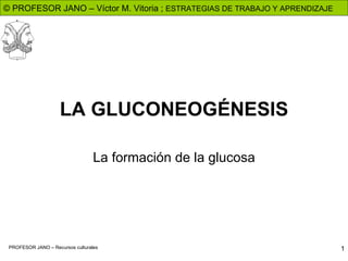 LA GLUCONEOGÉNESIS La formación de la glucosa 