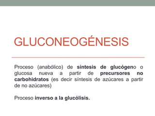 GLUCONEOGÉNESIS
Proceso (anabólico) de síntesis de glucógeno o
glucosa nueva a partir de precursores no
carbohidratos (es decir síntesis de azúcares a partir
de no azúcares)
Proceso inverso a la glucólisis.
 