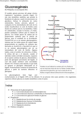 Nombres en azul indican los sustratos de la vía, flechas en
rojo las reacciones únicas de esta vía, flechas cortadas indican
reacciones de la glucolisis, que van en contra de esta vía,
flechas en negrita indican la dirección de la Gluconeogénesis.
Gluconeogénesis
De Wikipedia, la enciclopedia libre
El nombre génesis proviene del griego γένεσις
(/guénesis/), ‘nacimiento, creación, origen’. Es
una ruta metabólica anabólica que permite la
biosíntesis de glucosa a partir de precursores no
glucídicos. Incluye la utilización de varios
aminoácidos, lactato, piruvato, glicerol y
cualquiera de los intermediarios del ciclo de los
ácidos tricarboxílicos (o ciclo de Krebs) como
fuentes de carbono para la vía metabólica. Todos
los aminoácidos, excepto la leucina y la lisina,
pueden suministrar carbono para la síntesis de
glucosa. Los Ácidos grasos de cadena par no
proporcionan carbonos para la síntesis de
glucosa, pues el resultado de su β-oxidación
(Acetil-CoA) no es un sustrato gluconeogénico;
mientras que los ácidos grasos de cadena impar
proporcionarán un esqueleto de carbonos que
derivarán en Acetil-CoA y Succinil-CoA (que sí
es un sustrato gluconeogénico por ser un
intermediario del ciclo de Krebs). Algunos
tejidos, como el cerebro, los eritrocitos, el riñón,
la córnea del ojo y el músculo, cuando el
individuo realiza actividad extenuante, requieren
de un aporte continuo de glucosa, obteniéndola a
partir del glucógeno proveniente del hígado, el
cual solo puede satisfacer estas necesidades
durante 10 a 18 horas como máximo, lo que tarda
en agotarse el glucógeno almacenado en el
hígado. Posteriormente comienza la formación de
glucosa a partir de sustratos diferentes al
glucógeno.
La gluconeogénesis tiene lugar casi
exclusivamente en el hígado (10% en los riñones). Es un proceso clave pues permite a los organismos
superiores obtener glucosa en estados metabólicos como el ayuno.
Índice
1 Reacciones de la gluconeogénesis
1.1 Conversión del piruvato en fosfoenolpiruvato
1.2 Conversión de la fructosa-1,6-bisfosfato en fructosa-6-fosfato
1.3 Conversión de la glucosa-6-fosfato en glucosa
2 Regulación
2.1 Regulación por los niveles de energía
2.2 Regulación por fructosa 2,6-bisfosfato
2.3 Regulación de la fosforilación
2.4 Regulación alostérica
3 Balance energético
Gluconeogénesis - Wikipedia, la enciclopedia libre https://es.wikipedia.org/wiki/Gluconeogénesis
1 de 5 24/4/17 19:06
 