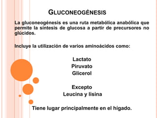 GLUCONEOGÉNESIS
La gluconeogénesis es una ruta metabólica anabólica que
permite la síntesis de glucosa a partir de precursores no
glúcidos.

Incluye la utilización de varios aminoácidos como:

                        Lactato
                        Piruvato
                        Glicerol

                       Excepto
                    Leucina y lisina

       Tiene lugar principalmente en el hígado.
 