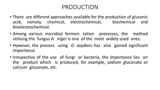 PRODUCTION
• There are different approaches available for the production of gluconic
acid, namely, chemical, electrochemical, biochemical and
bioelectrochemical.
• Among various microbial fermen- tation processes, the method
utilising the fungus A. niger is one of the most widely used ones.
• However, the process using G. oxydans has also gained significant
importance.
• Irrespective of the use of fungi or bacteria, the importance lies on
the product which is produced, for example, sodium gluconate or
calcium gluconate, etc.
 