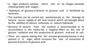 • A. niger produces catalase which acts on hy- drogen peroxide
releasing water and oxygen.
• Hydrolysis of glucono-d-lactone to gluconic acid is facilitated by
lactonase.
• The reaction can be carried out spontaneously as the cleavage of
lactone occurs rapidly at pH near neutral, which are brought about
by the addition of calcium carbonate, or sodium hydroxide.
• Removal of lactone from the medium is recommended as its
accumulation in the media has a negative effect on the rate of
glucose oxidation and the production of gluconic acid and its salt.
• There are reports stating that the enzyme gluconolactonase is also
present in A. niger, which increases the rate of conversion of
glucono-d-lactone to gluconic acid
 