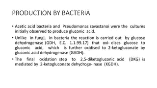 PRODUCTION BY BACTERIA
• Acetic acid bacteria and Pseudomonas savastanoi were the cultures
initially observed to produce gluconic acid.
• Unlike in fungi, in bacteria the reaction is carried out by glucose
dehydrogenase (GDH, E.C. 1.1.99.17) that oxi- dises glucose to
gluconic acid, which is further oxidised to 2-ketogluconate by
gluconic acid dehydrogenase (GADH).
• The final oxidation step to 2,5-diketogluconic acid (DKG) is
mediated by 2-ketogluconate dehydroge- nase (KGDH).
 
