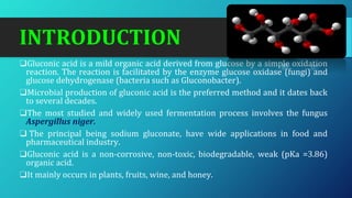 INTRODUCTION
❑Gluconic acid is a mild organic acid derived from glucose by a simple oxidation
reaction. The reaction is facilitated by the enzyme glucose oxidase (fungi) and
glucose dehydrogenase (bacteria such as Gluconobacter).
❑Microbial production of gluconic acid is the preferred method and it dates back
to several decades.
❑The most studied and widely used fermentation process involves the fungus
Aspergillus niger.
❑ The principal being sodium gluconate, have wide applications in food and
pharmaceutical industry.
❑Gluconic acid is a non-corrosive, non-toxic, biodegradable, weak (pKa =3.86)
organic acid.
❑It mainly occurs in plants, fruits, wine, and honey.
 
